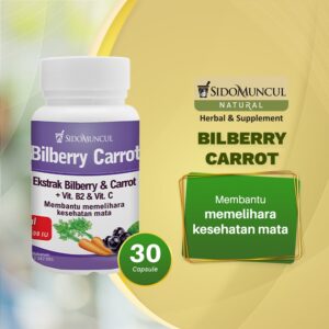 BILBERRY CARROT