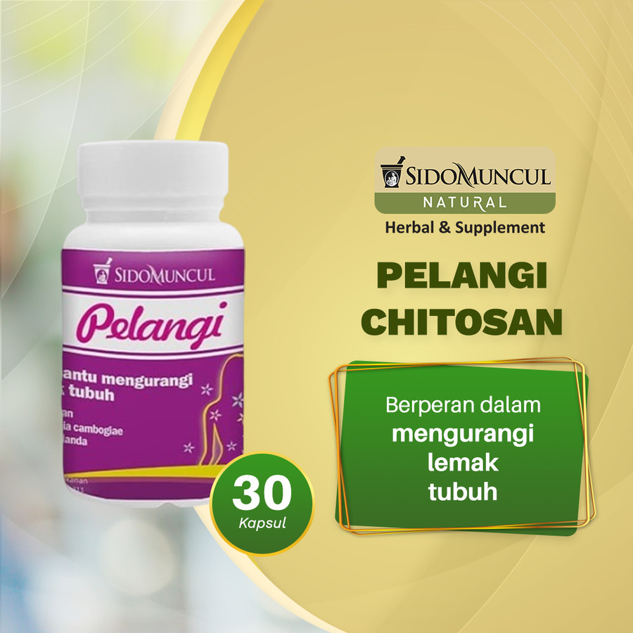 PELANGI